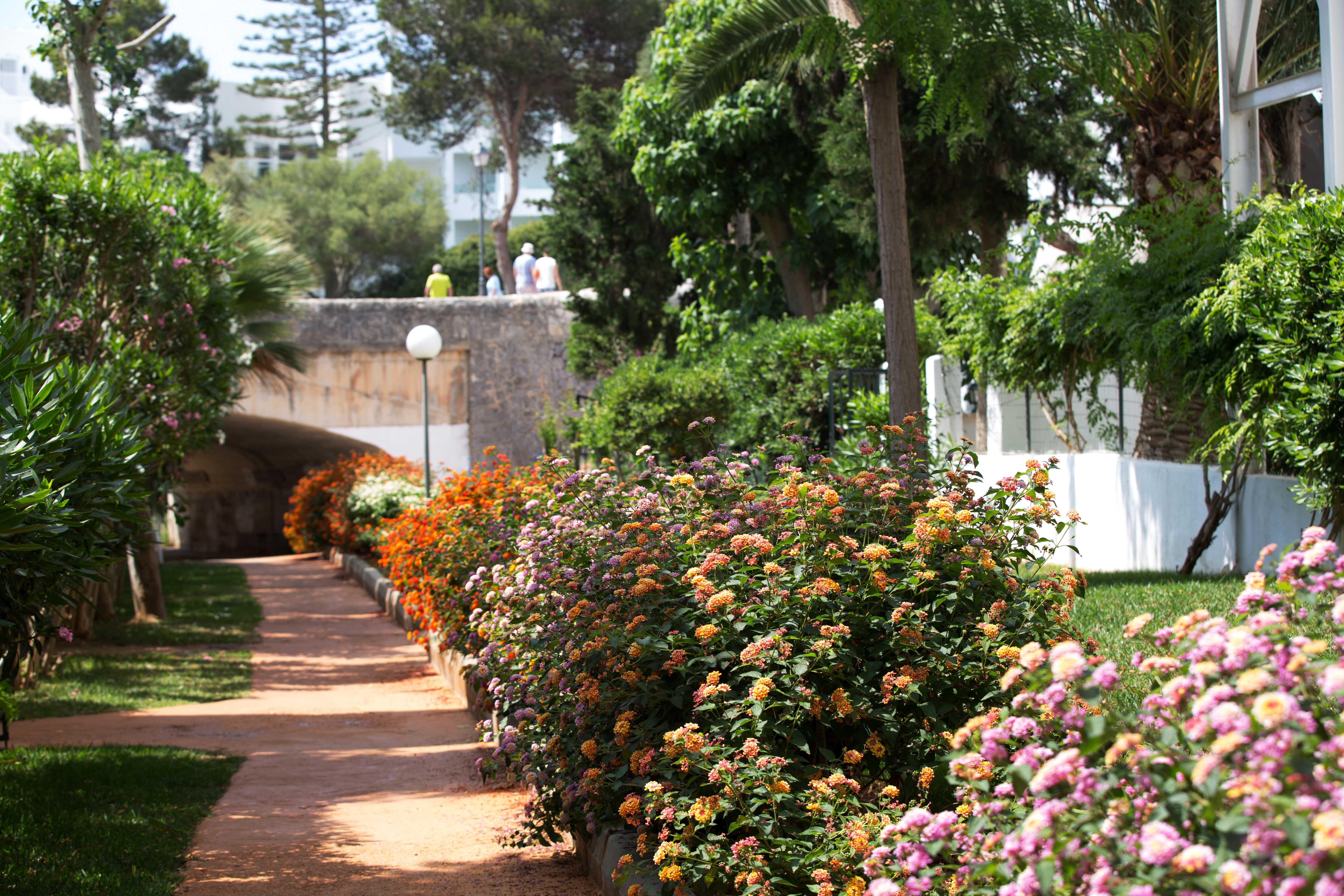 Gavimar Cala Gran Hotel And Apartments Cala d'Or (Mallorca) Exterior foto
