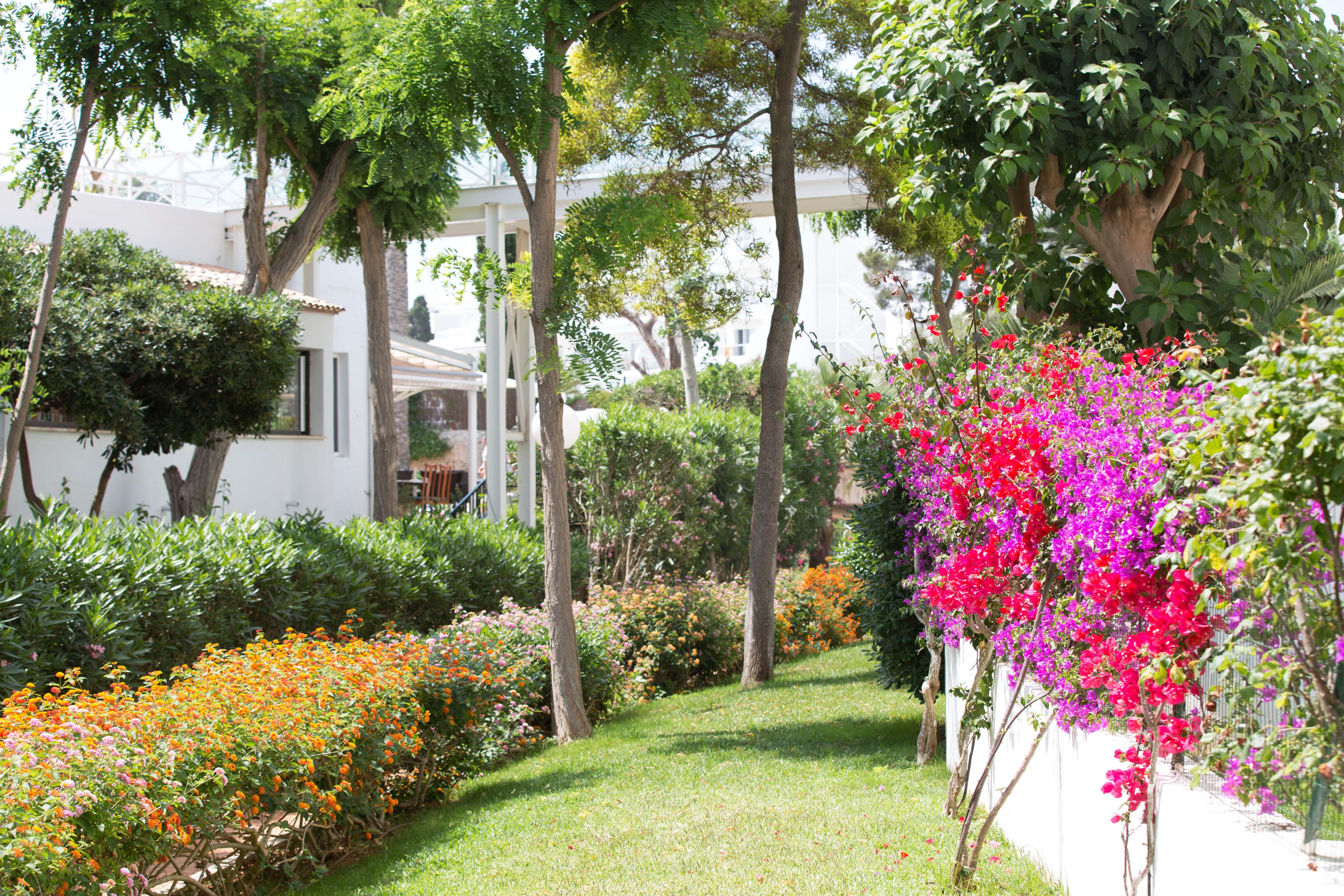Gavimar Cala Gran Hotel And Apartments Cala d'Or (Mallorca) Exterior foto